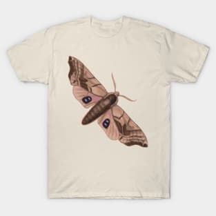 Moth T-Shirt